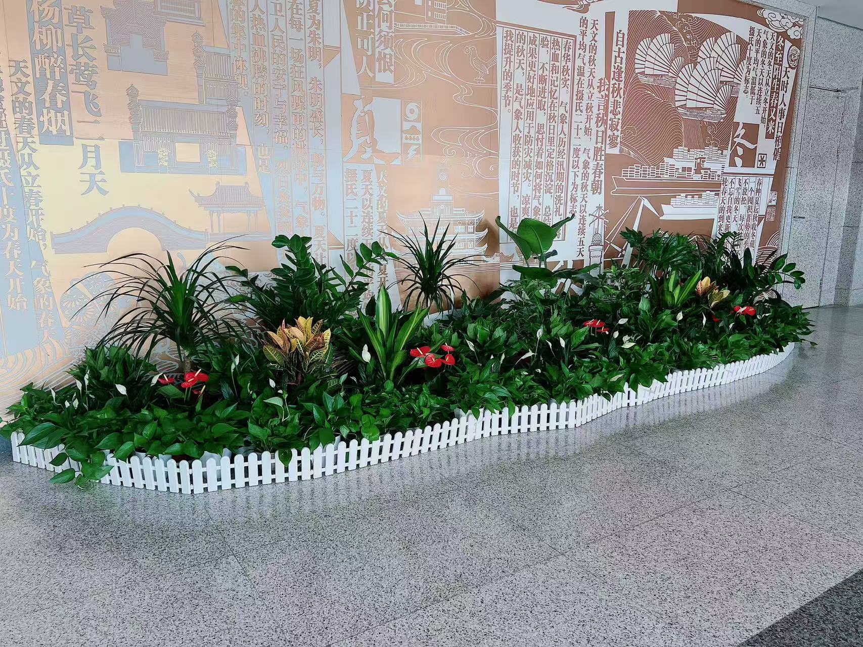 揭秘江北盆景租摆，打造与众不同的室内风情